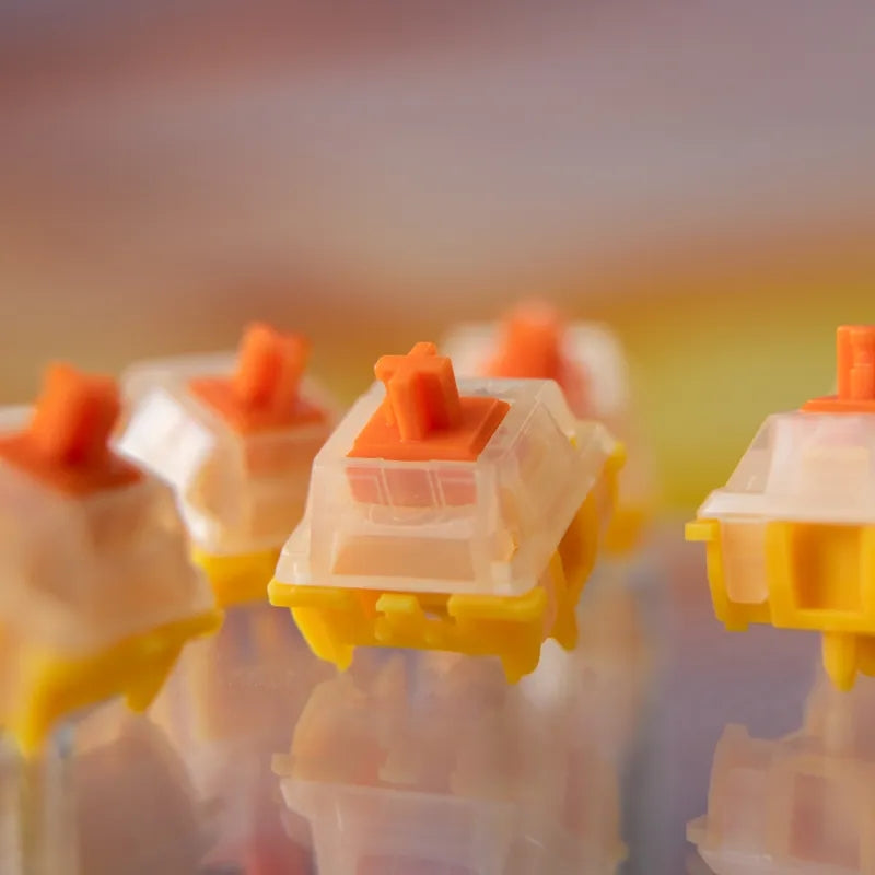 GATERON sub-brand EF Curry switch