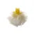 Gateron Pro Switches