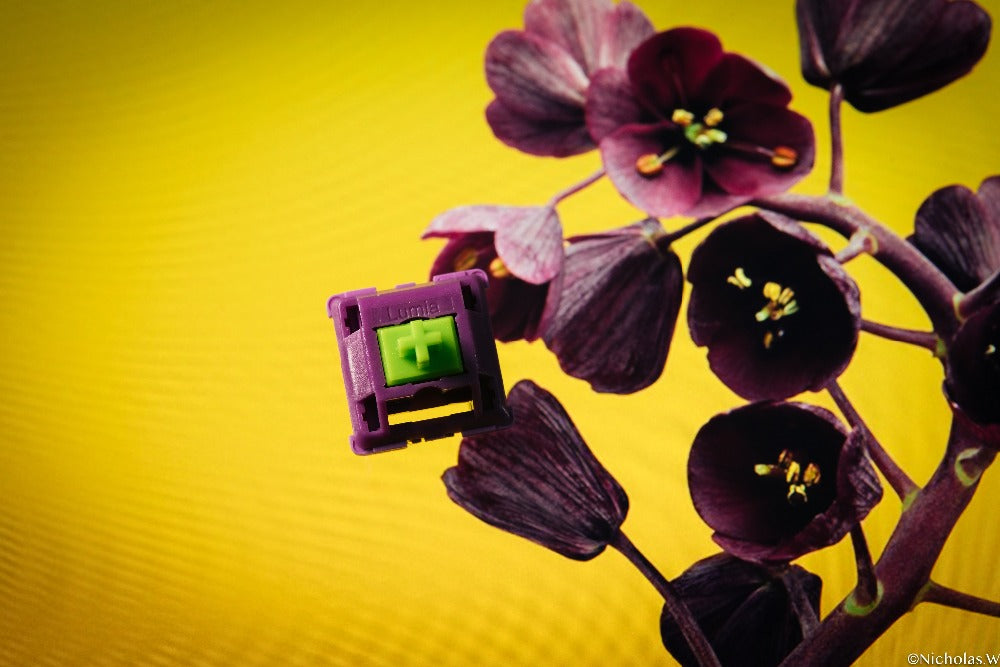 Lumia 3 pin tactile switch